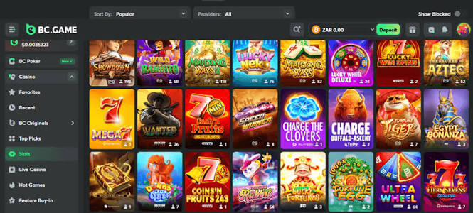 Exploring BC.Game Online Casino A New Era in Gaming
